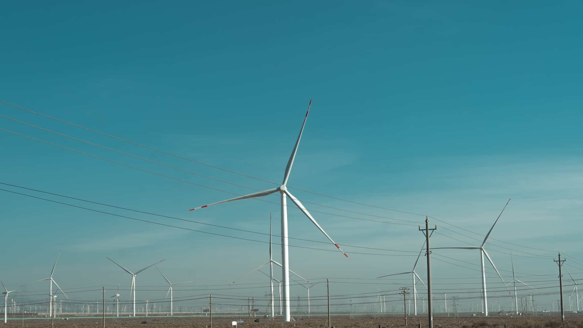 A field of wind turbines under a clear blue sky