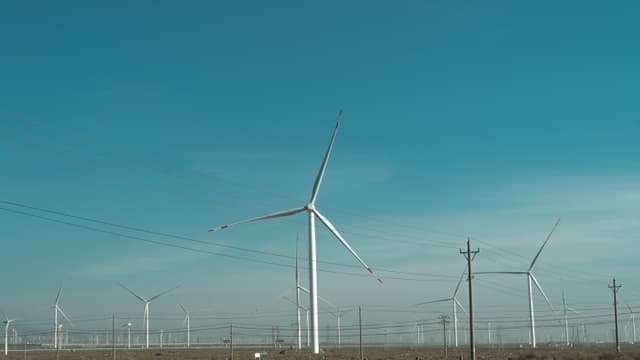 A field of wind turbines under a clear blue sky